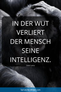 Kurze Sprüche