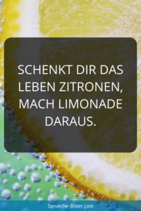 Lebensweisheiten