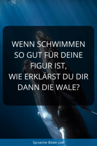 Lustige Sprüche