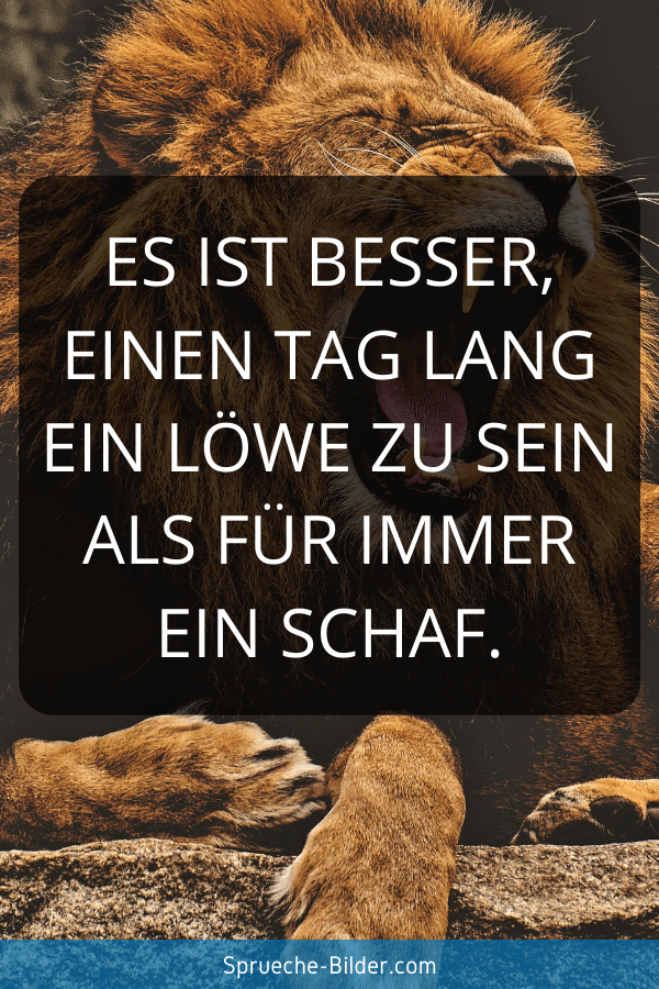 Get Schaf sprueche Free